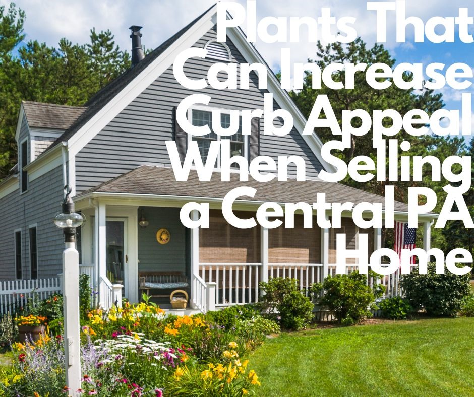 Plants That Can Increase Curb Appeal When Selling A Central Pa Home