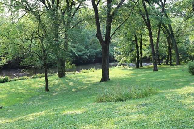 Back Yard showing middle fork of Beargrass Creek