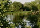 Bluff lake Nature Center