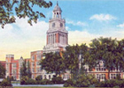 Denver Area Schools and Education