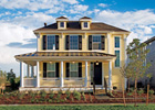 Stapleton Home Search