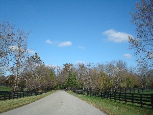 Nutwood KY homes for sale Nutwood KY homes for sale