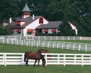 Lexington KY Real Estate
