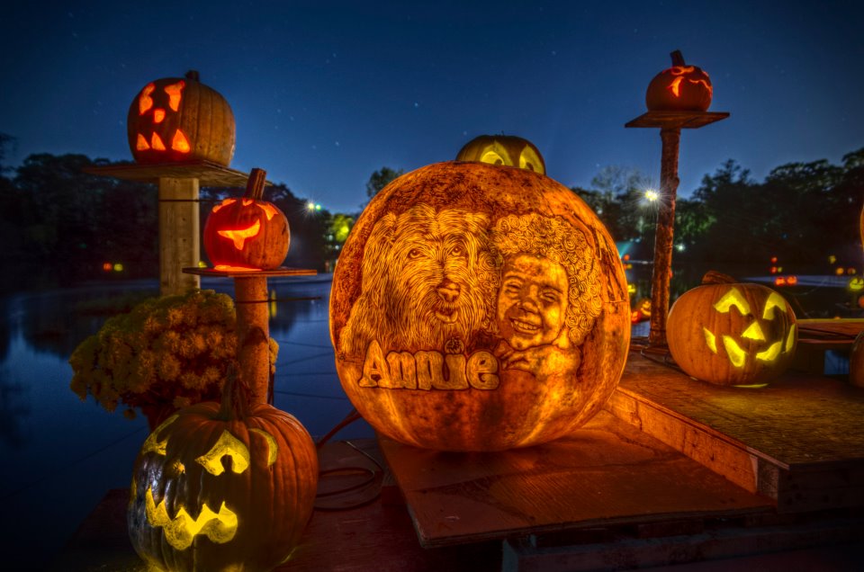 jack o lantern spectacular louisville ky