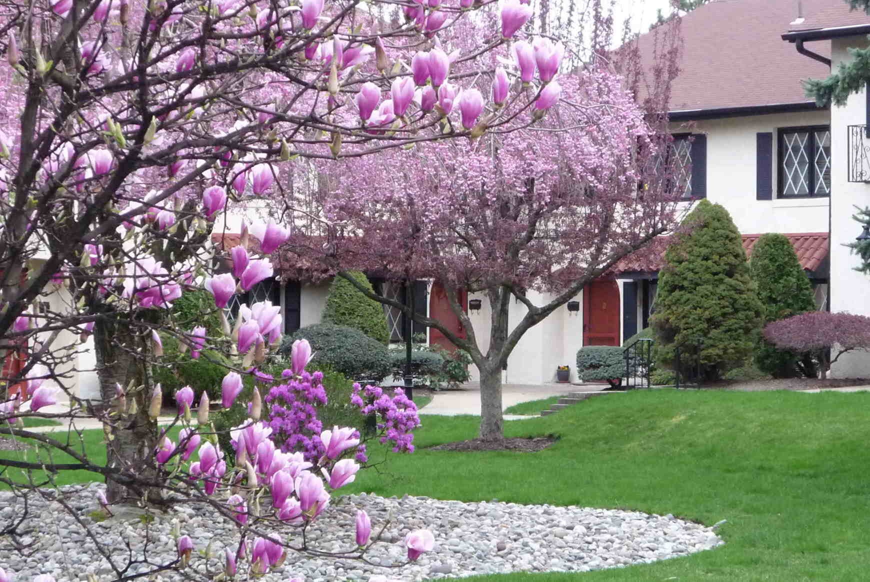 Morristown NJ Townhomes and Condos, Convent Mews Morristown NJ Townhomes and Condos, Convent Mews