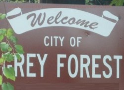 City of Grey Forest