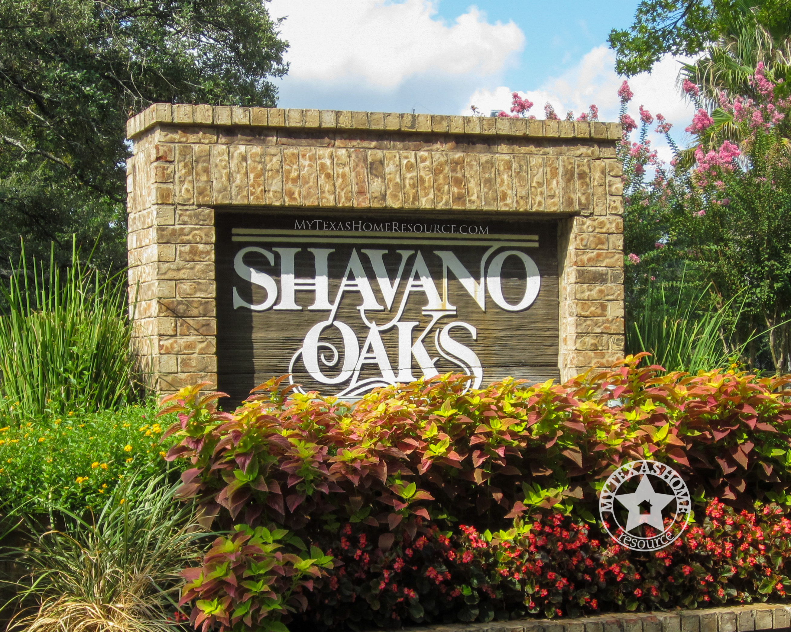 Shavano橡树社区网上正规的彩票网站，德克萨斯州