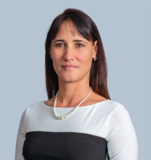 Sonia Pineda Perez LLC