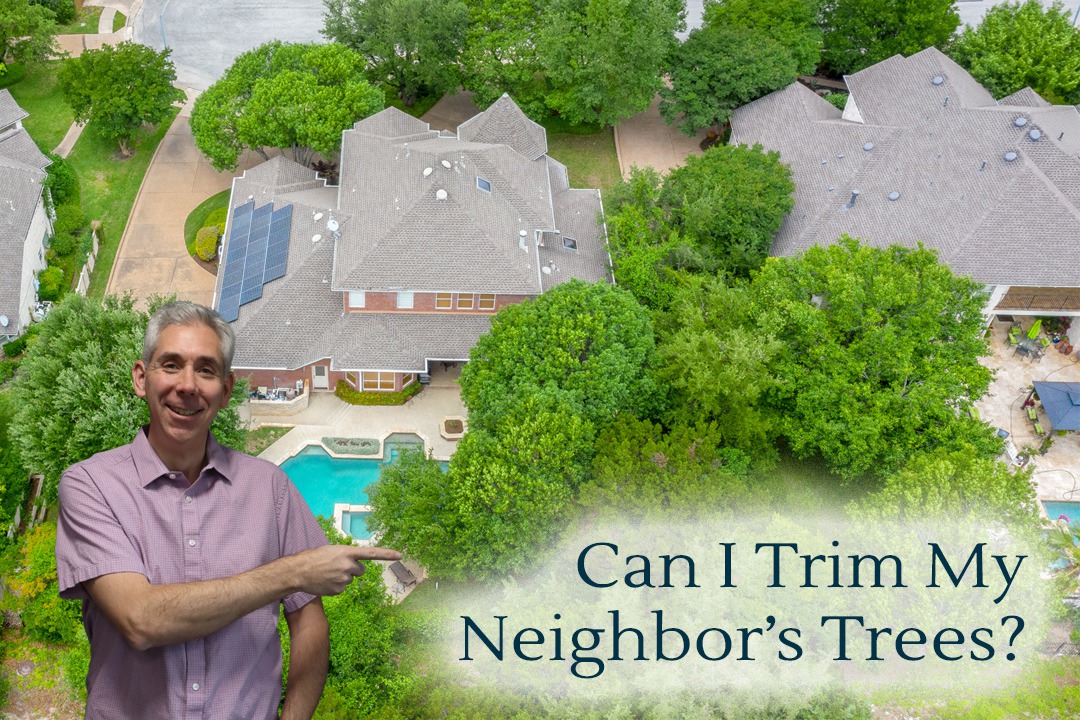 Can I Trim My Neighbors Trees