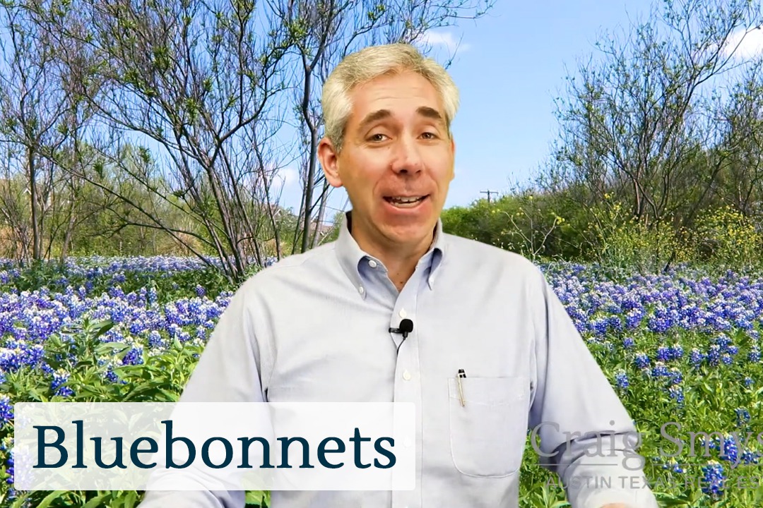 Discover Austin: Bluebonnets - Episode 8