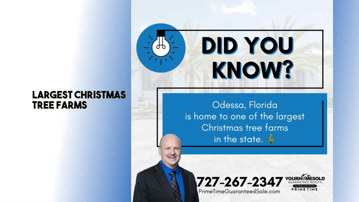 Largest Christmas tree farms