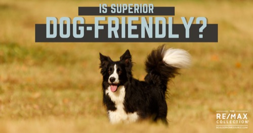 3 Dog Parks in & Around Superior, CO: Is Superior Dog-Friendly?