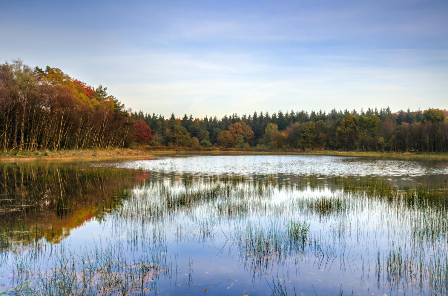 About Noble County Lakes