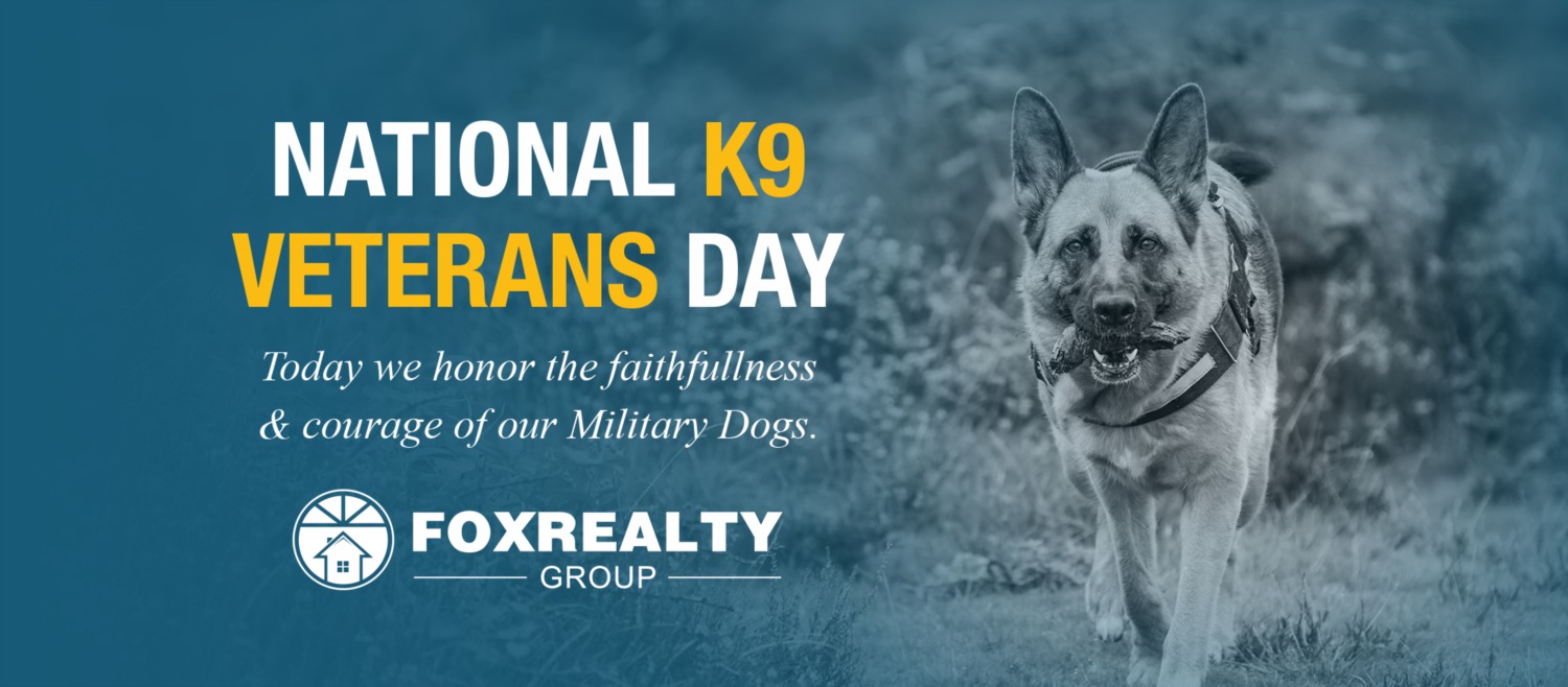 National k9 Veterans Day