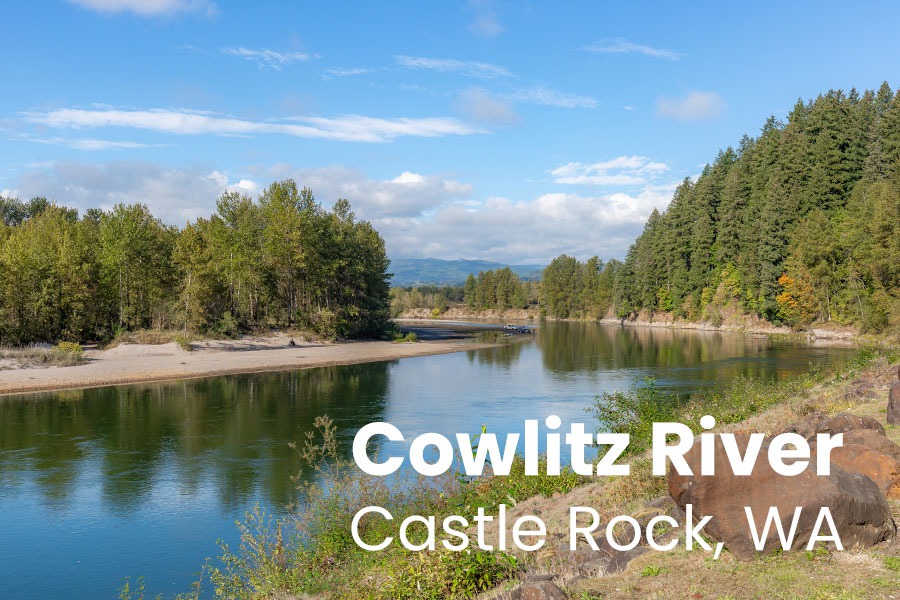 Guide to Castle Rock, WA Real Estate