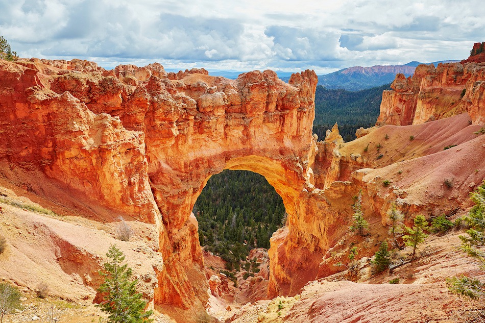 The Top 3 Visitor Tours In Cedar City, UT