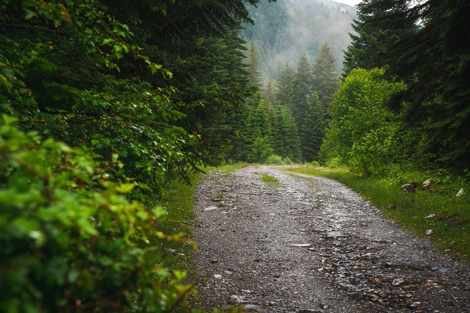 Southern Idaho Scenic Trail Guide