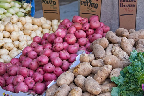 The History of Potatoes in Idaho