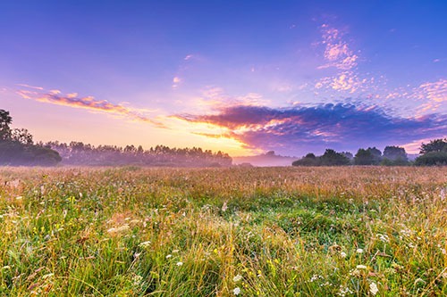 Idaho’s Southeast Region Wildlife Management Areas