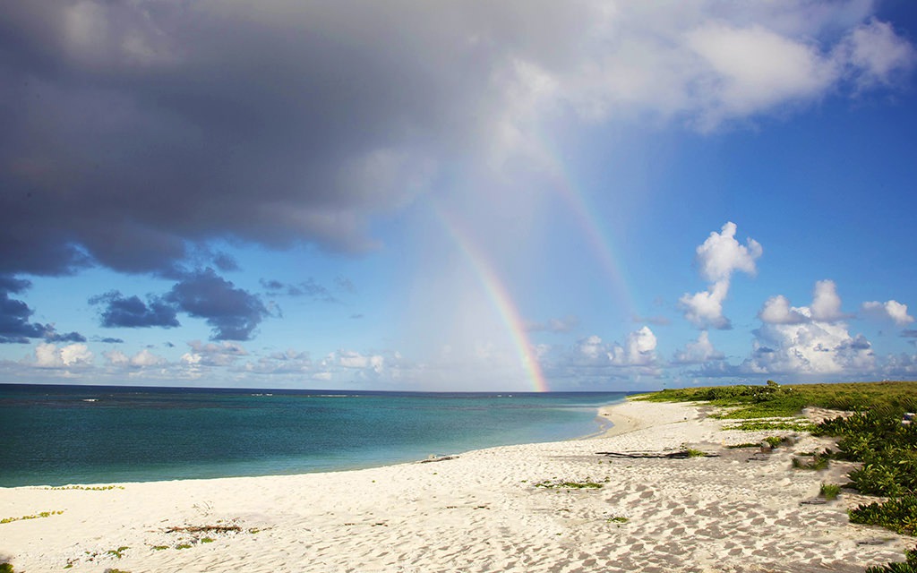 Southwest Florida Rainy Day Activities