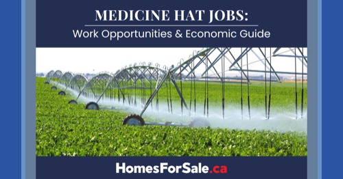 medicine hat job opportunities