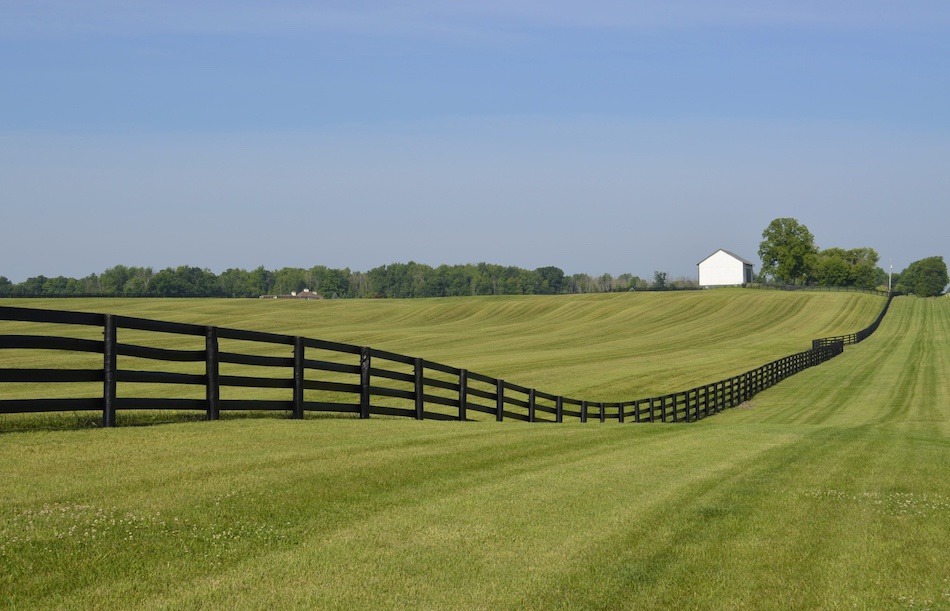 What to Know When Purchasing Rural Property