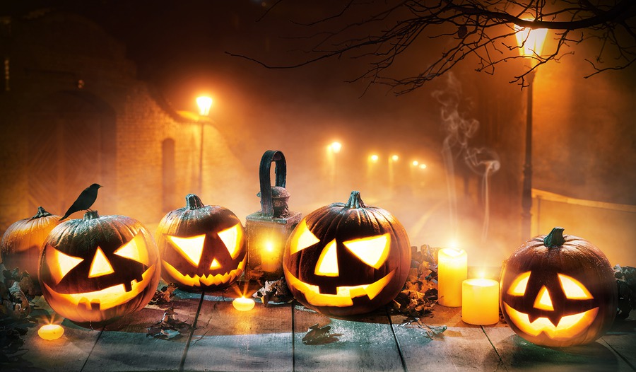 jack o lantern spectacular jack o lantern spectacular