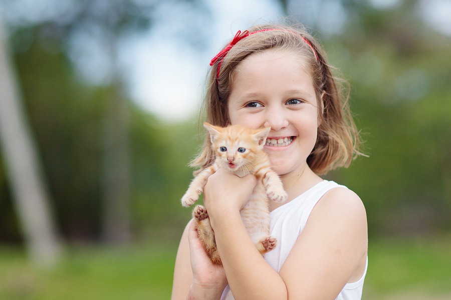 have-a-story-adventure-with-the-louisville-nature-center-july-25-joe