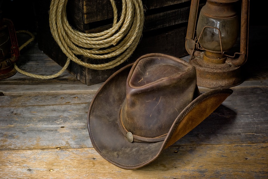 See the North American Championship Rodeo at Freedom Hall November 14