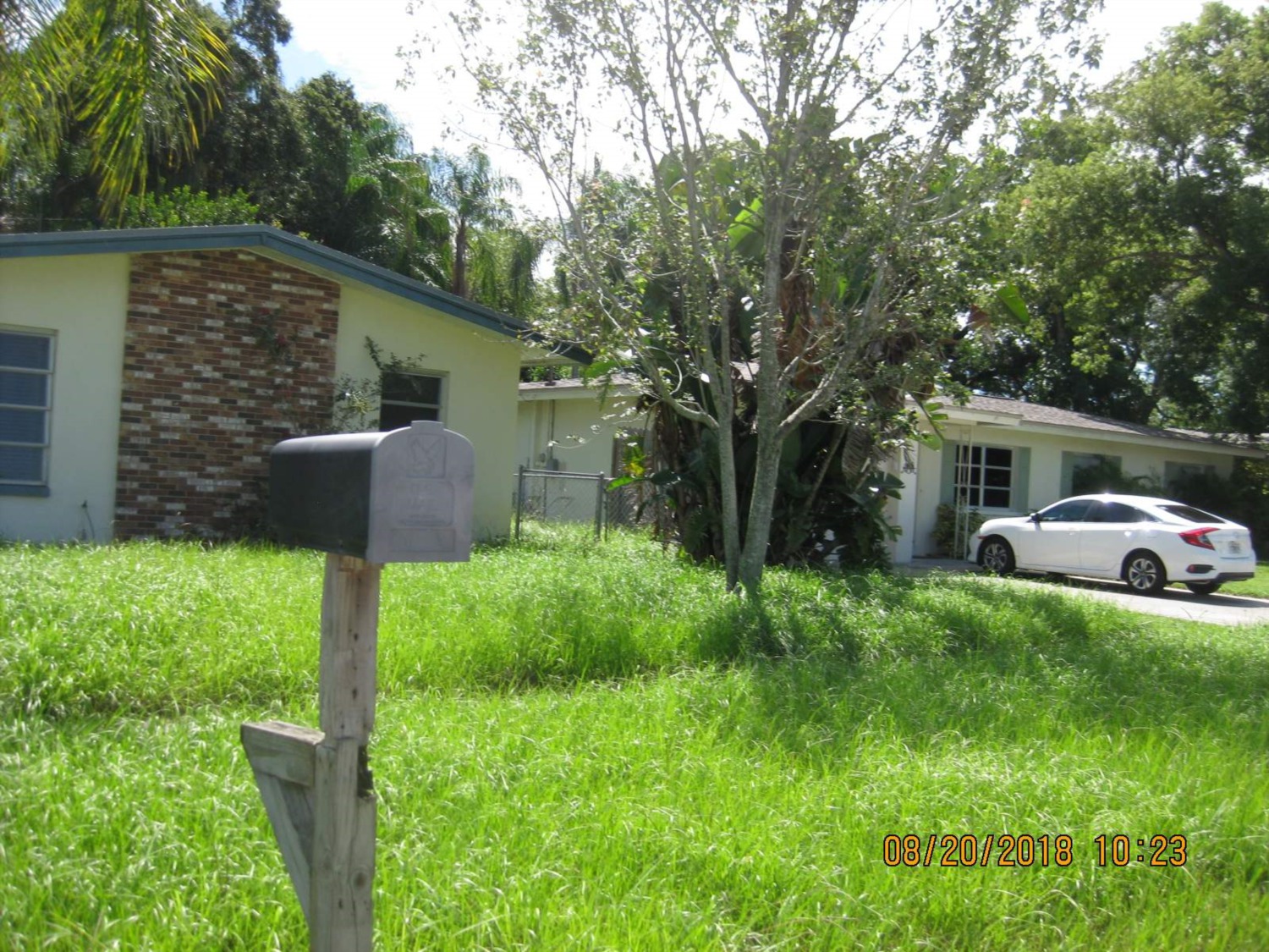 A Messy Yard Can Cost You $100,000 in Florida