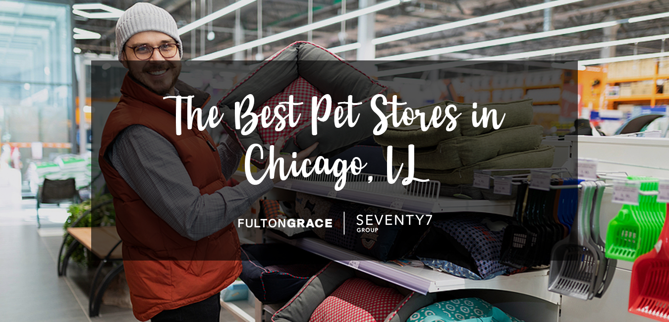 The Best Boutique Pet Stores In Chicago IL