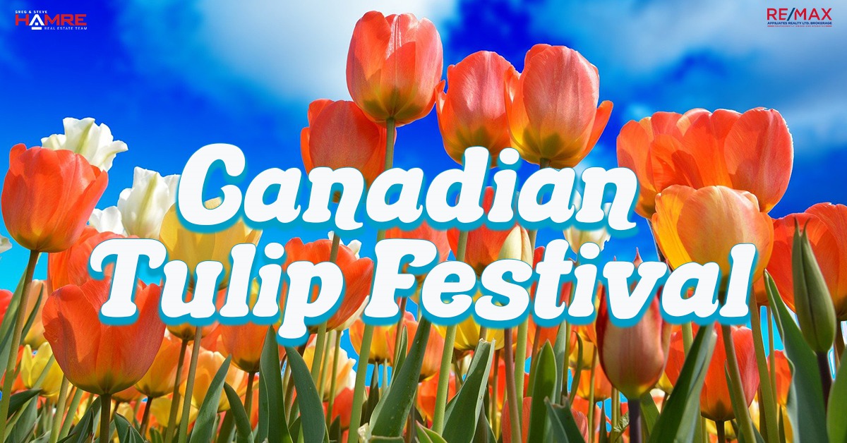 Canadian Tulip Festival Ottawa Hamre Real Estate Team RE/MAX Affiliates