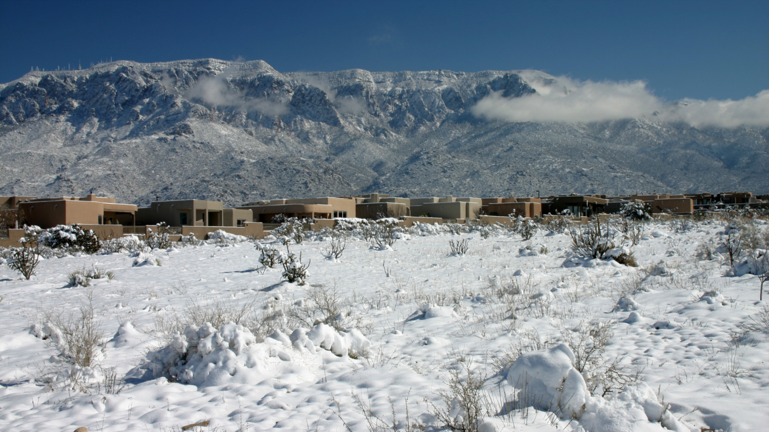 Snowing in Albuquerque