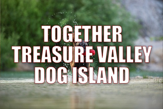 Together Treasure Valley Dog Island: Boise's Canine Retreat