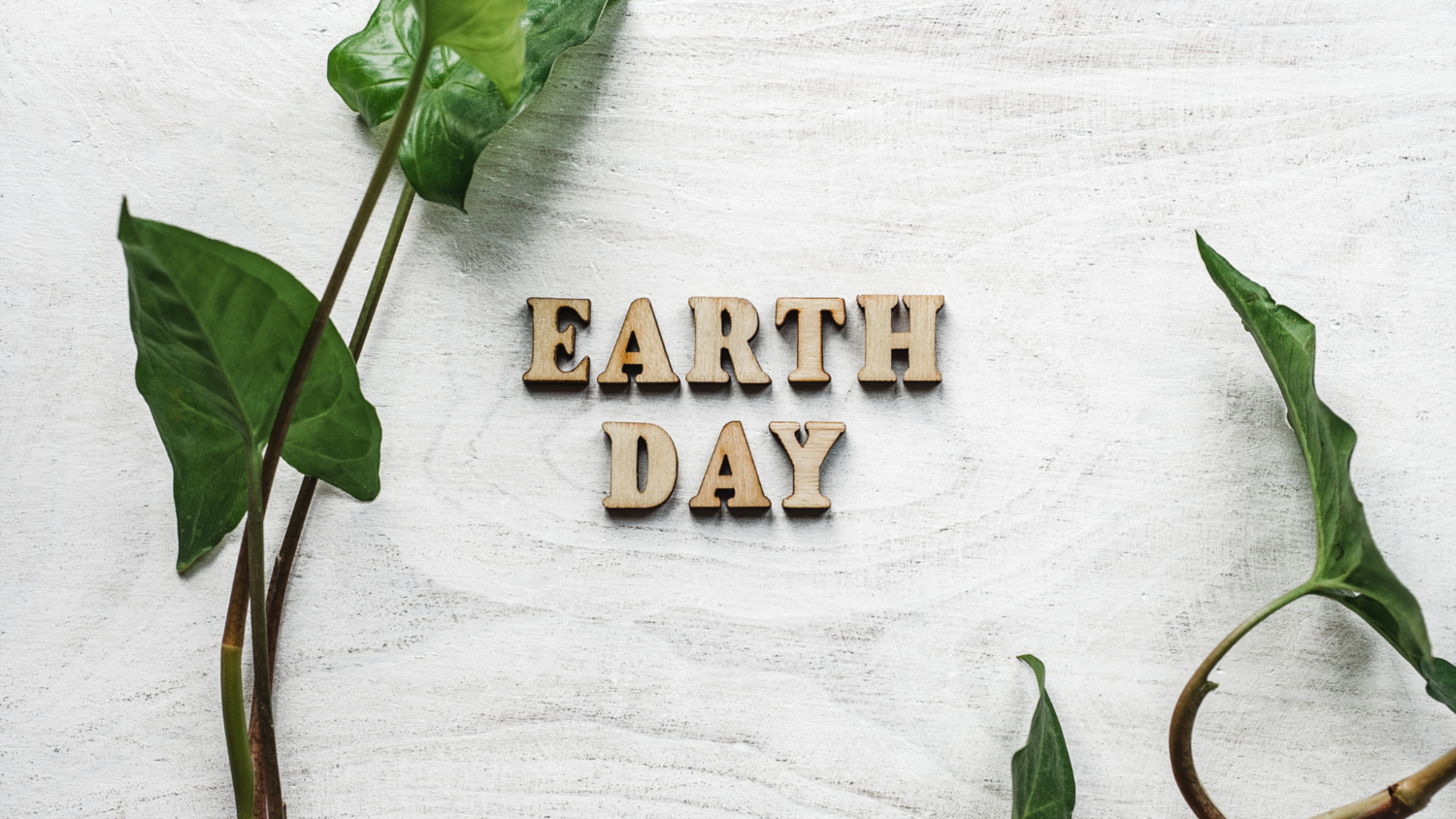 Best Earth Day Events in Delaware and Maryland