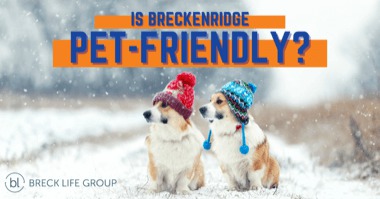 Is Breckenridge Pet Friendly Activities Lodging More