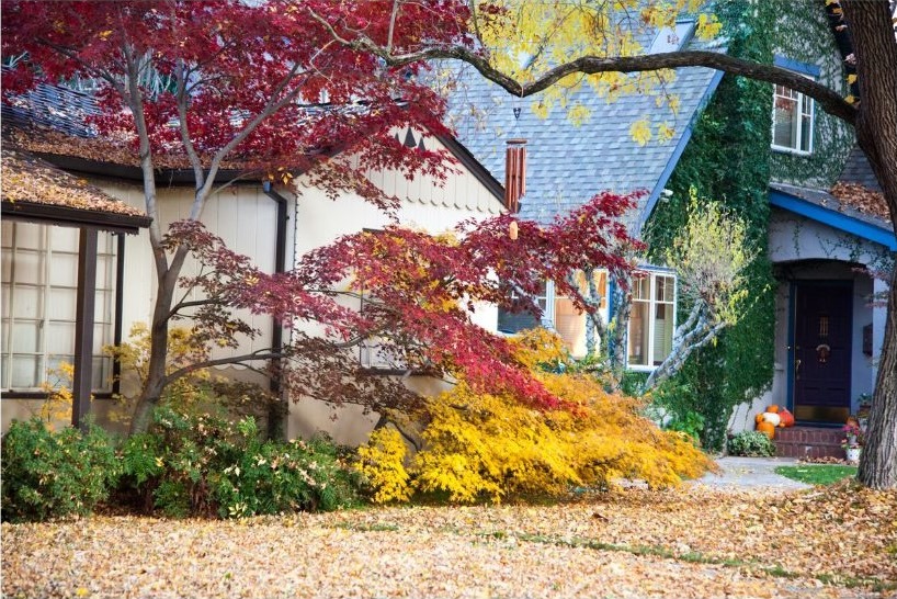 Buying A Home In Sacramento Your Comprehensive Guide For 2024   31901 Sacramentoinautum 