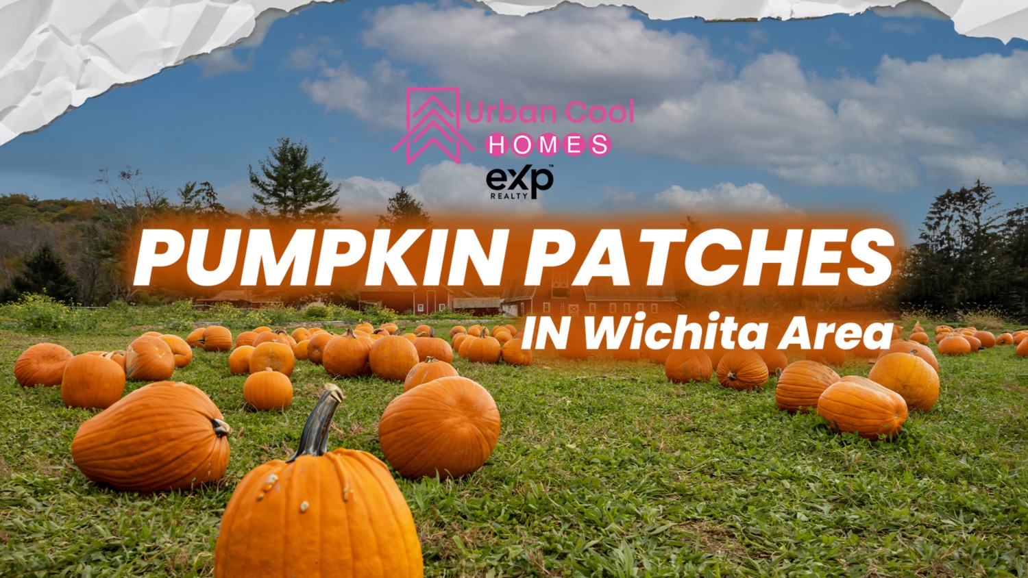 Best Pumpkin Patches in Wichita, Kansas Fall 2023