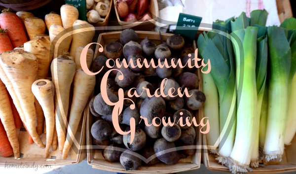 Community Gardens in Indianapolis