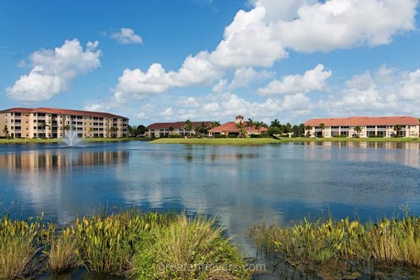 Osprey Cove Rentals