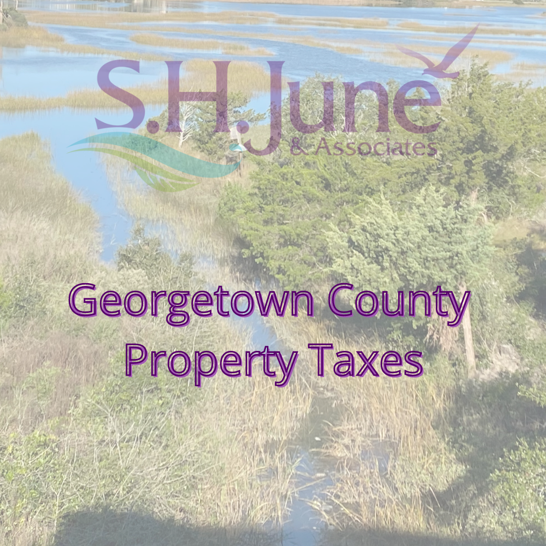 Georgetown County Property Tax Records