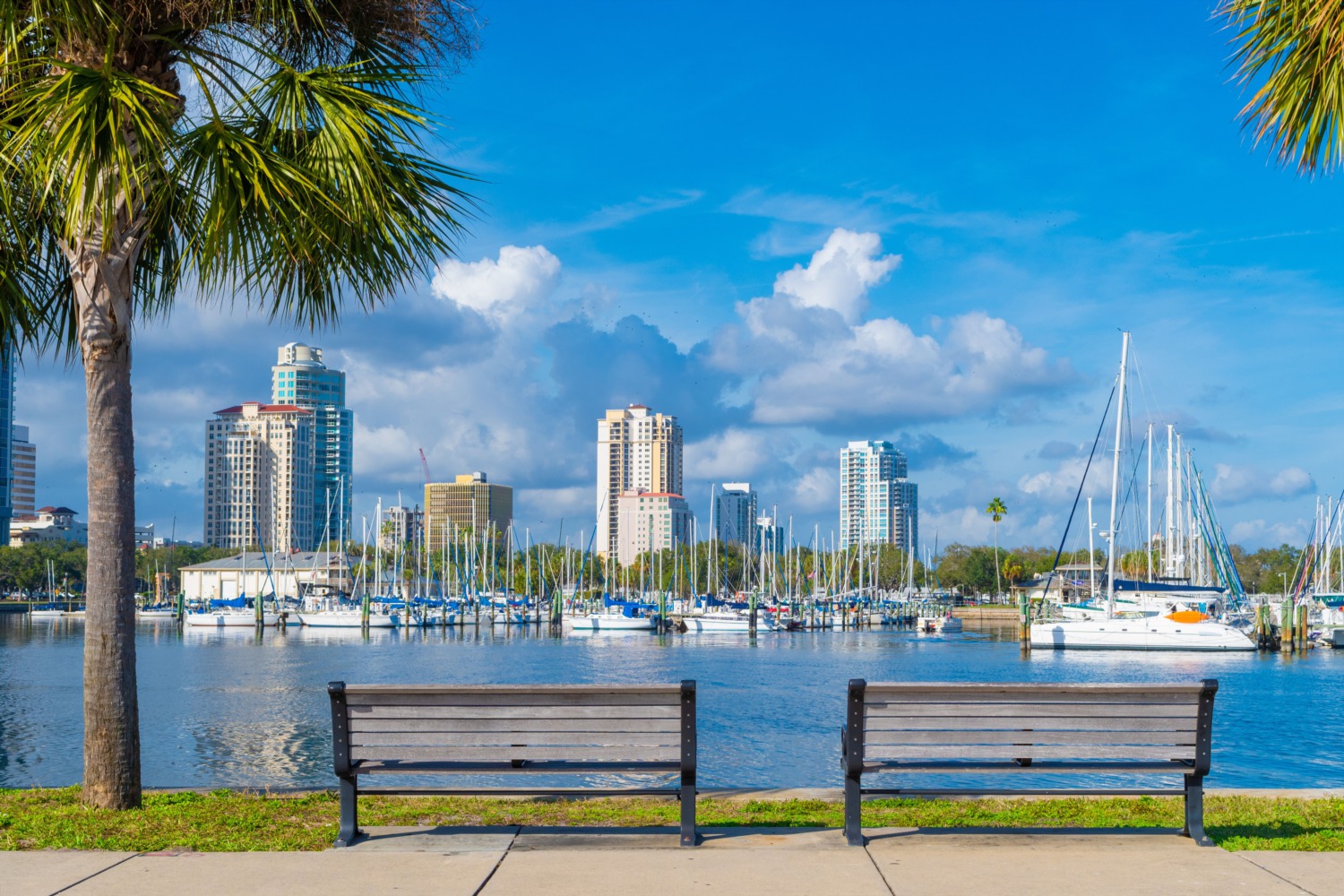 5 Best Places to Live in St. Petersburg, FL (Top 5 Neighborhoods in St
