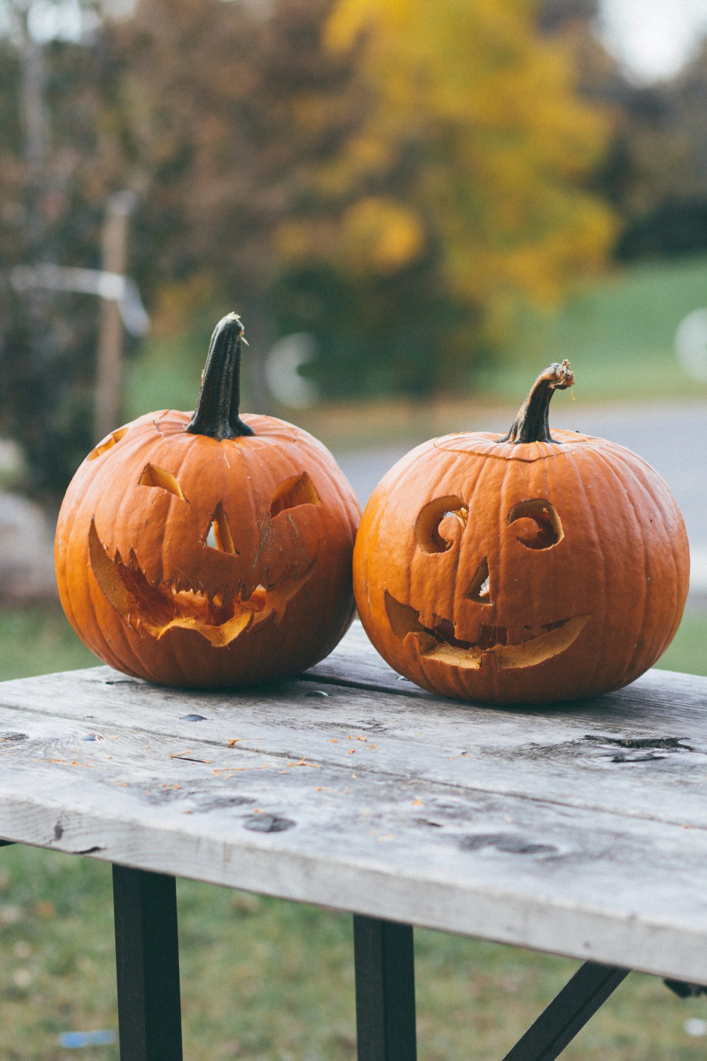 Explore A Family Halloween at Wagner Farm in Glenview, IL on October 24