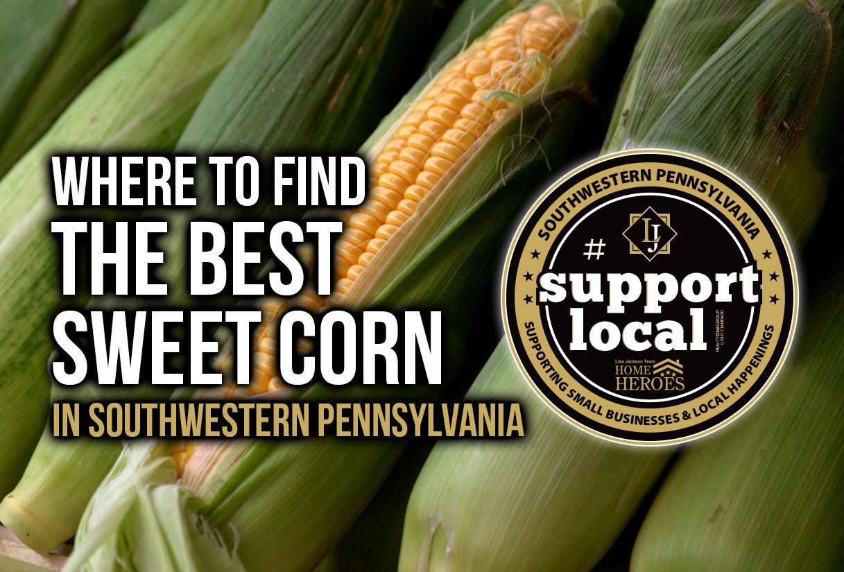 Where to Find the BEST Sweet Corn in Southwestern Pennsylvania