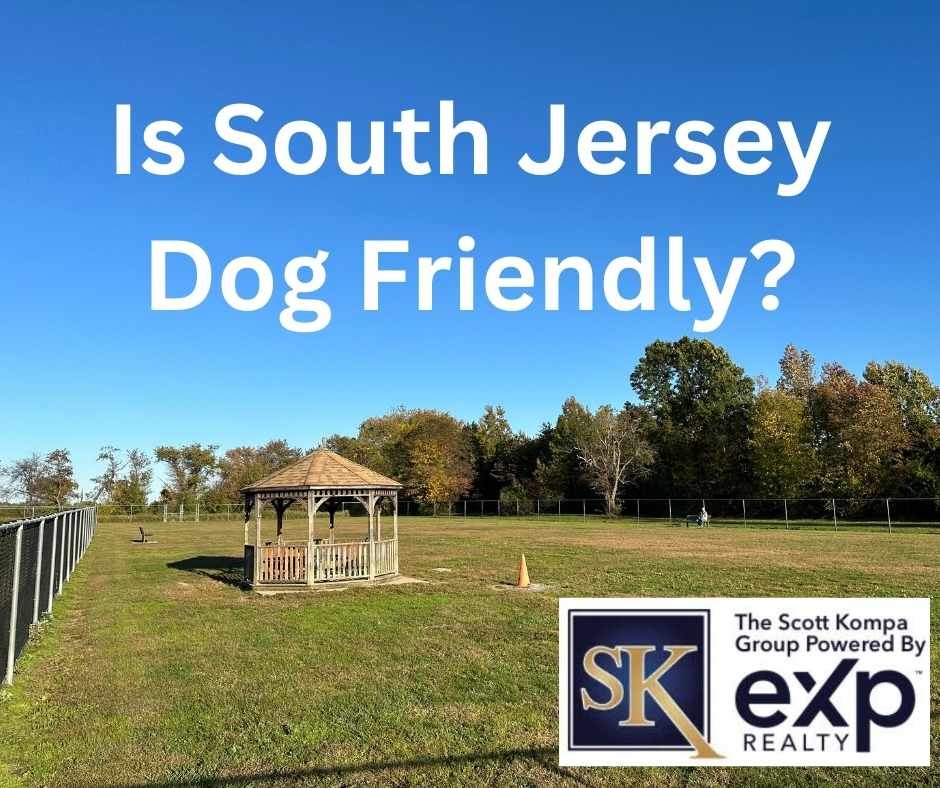 Is Jersey Dog Friendly