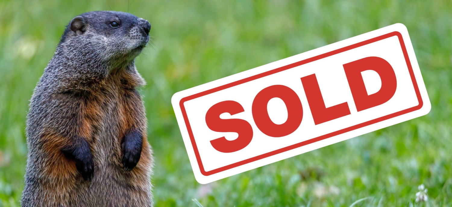 Groundhog Day: Real Estate Mistakes People Make Over and Over | Ask Cathy