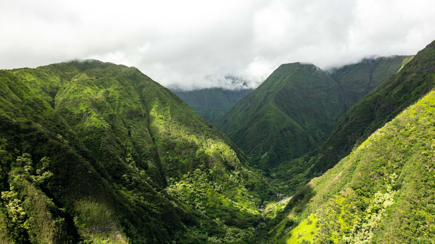 Waihee Ridge Trail