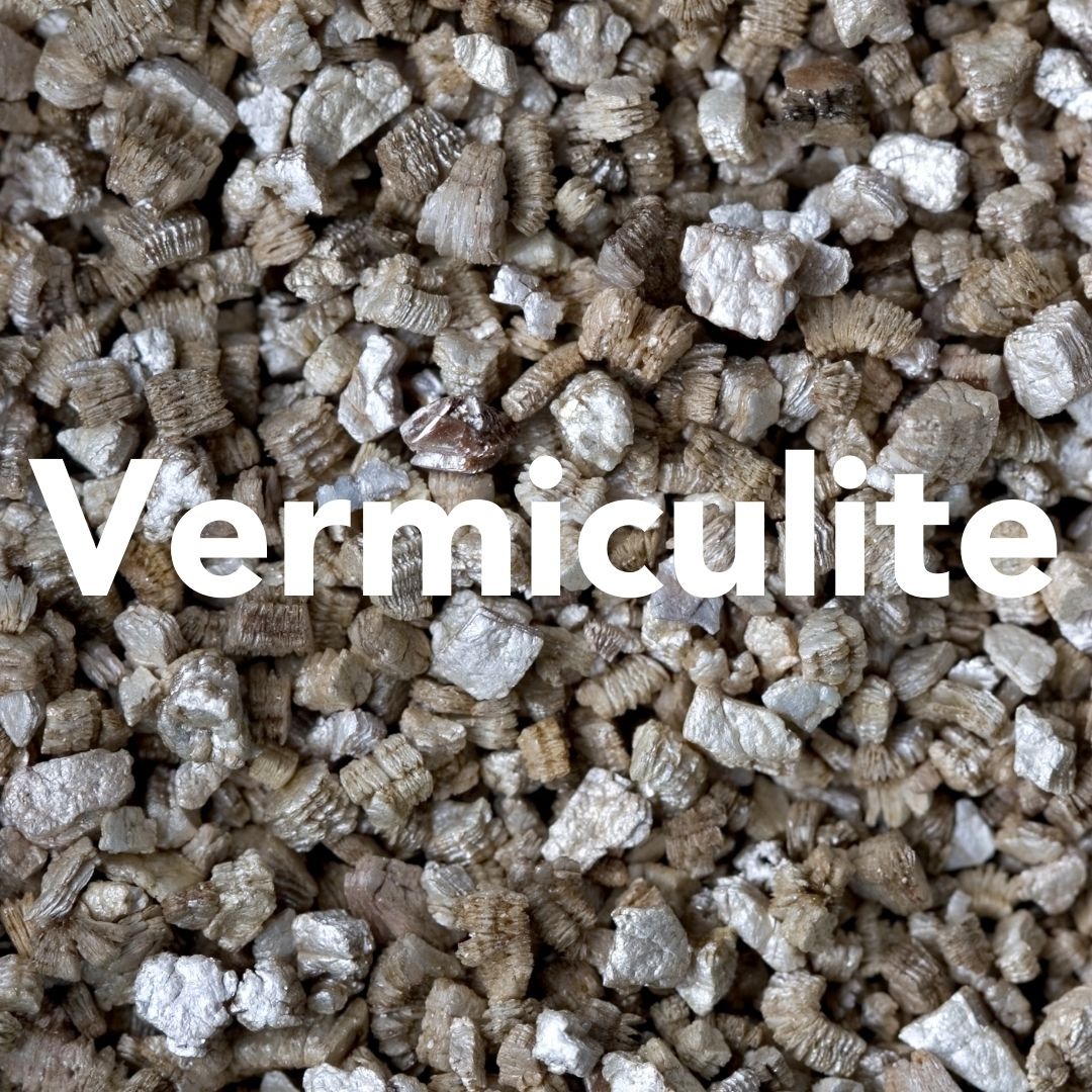 Vermiculite & Asbestos