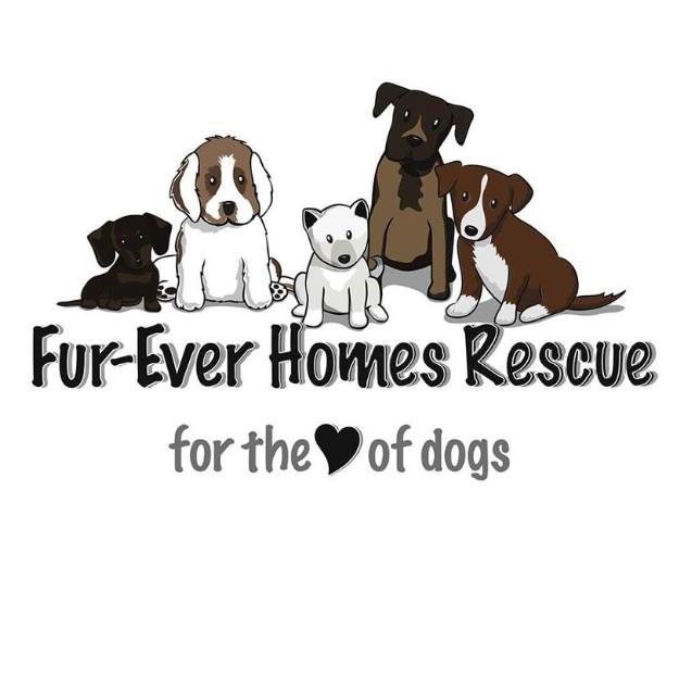 Fur-Ever Homes Rescue: Every Animal Deserves a Second Chance