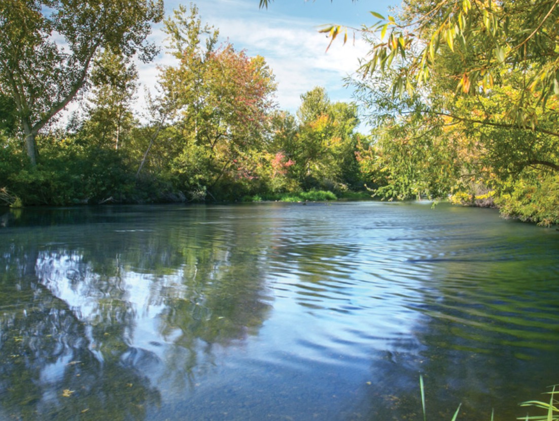 Greenbelt vs Waterfront properties